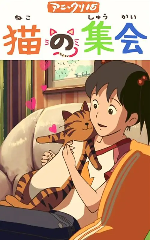 高清影视