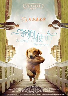高清影视