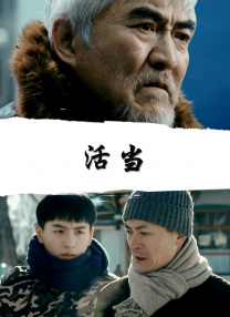 完结高清影视