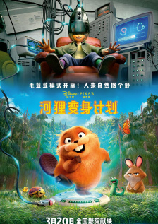 手机免费播放