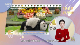 BD国语高清完整版